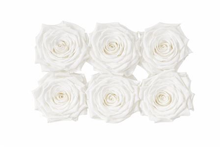 Ro Pres Classic White