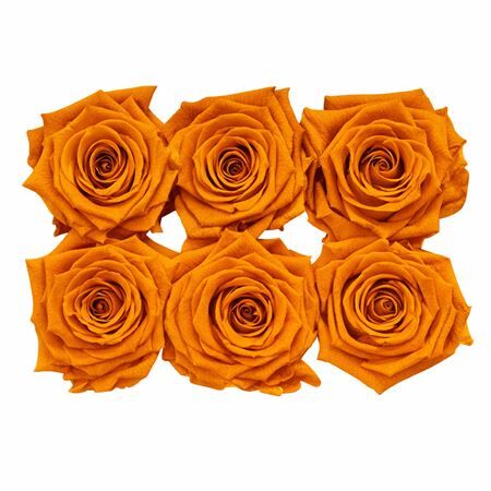 Ro Pres Classic Orange Lime