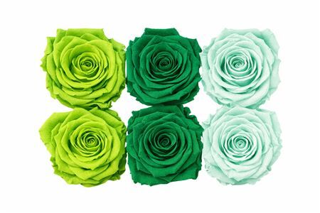 Ro Pres Classic Mix Green