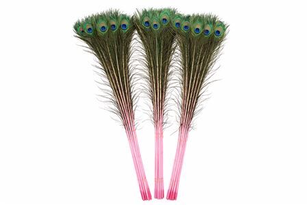 Feather Peacock Nat. Pink L90-100