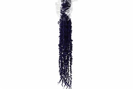 Pres Amaranthus Caud Dark Purple Bunch