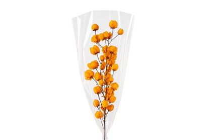 Dried Bougainvillea X5 Orange Bunch