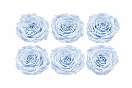 Ro Pres Classic Blue Light