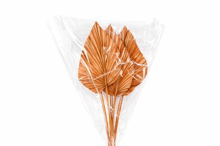 Dried Palm Spear 10pc Orange Bunch