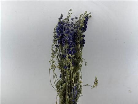 Dried Delphinium Blue Extra Bunch