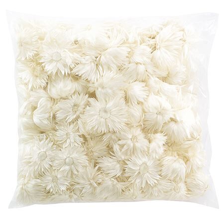 Capblumen Heads 120pc 50gr