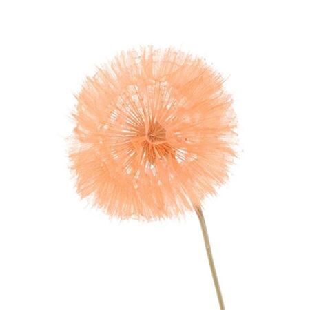 Pres Puste Flower Baby Satin Orange