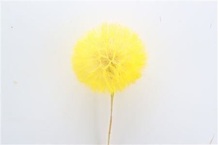 Pres Puste Flower Yellow