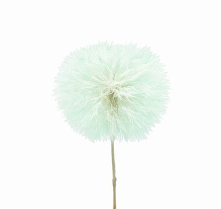 Pres Puste Flower Emerald