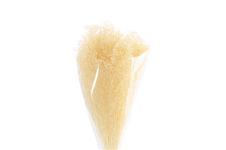 Dried Brooms Bleached Bunch