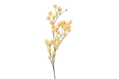 Dried Bougainvillea X5 Salmon Bunch