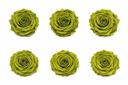 Ro Pres Classic Green Olive