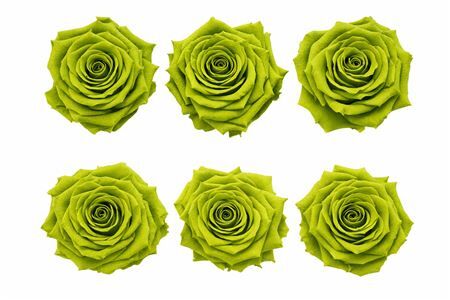 Ro Pres Classic Green Army