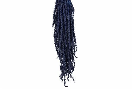 Pres Amaranthus Caud Antracite Bunch