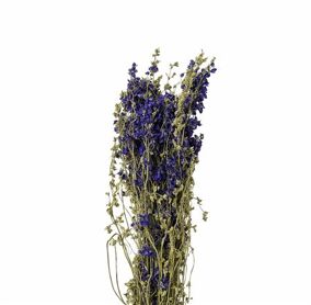 Dried Delphinium Blue Extra Bunch