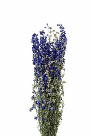 Dried Delphinium Blue Extra Bunch