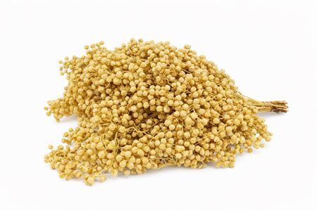Schinus M Pt Yellow Bunch