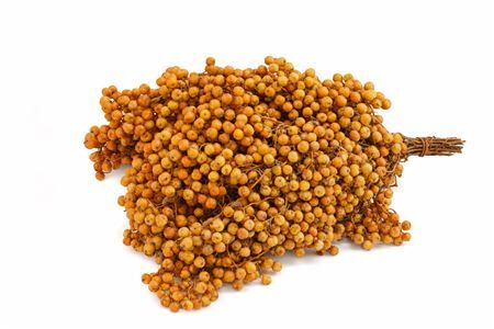Schinus M Pt Mustard Bunch
