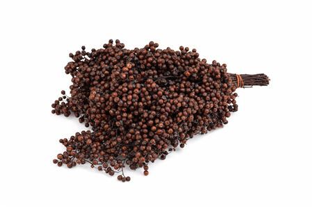 Schinus M Pt Brown Bunch