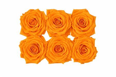 Ro Pres Classic Orange