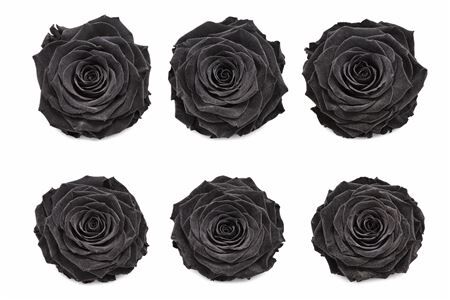 Ro Pres Classic Black