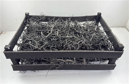 Bonsai Wood Black P Crate