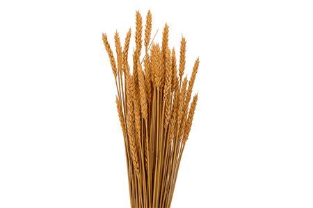 Dried Triticum X5 Frosted Salmon Bunch