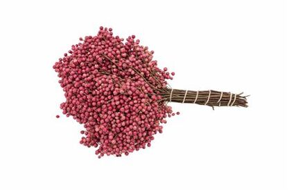 Schinus M Pink Special Pbs