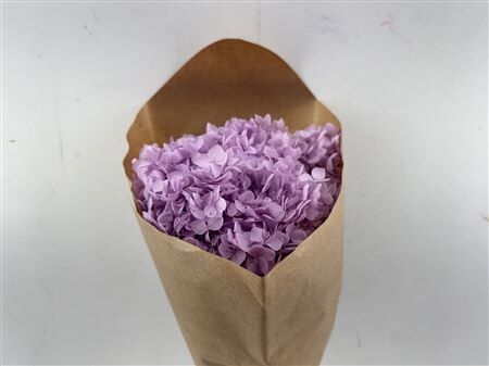 Pres Hydrangea Lilac Bunch