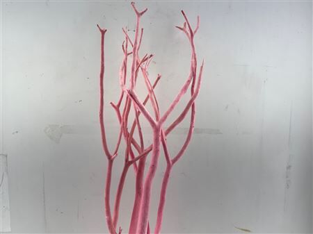 Mitsumata Flaked Light Pink 3pc Bunch