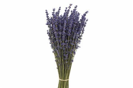 Dried Lavendel Super Blue 100gram Bunch