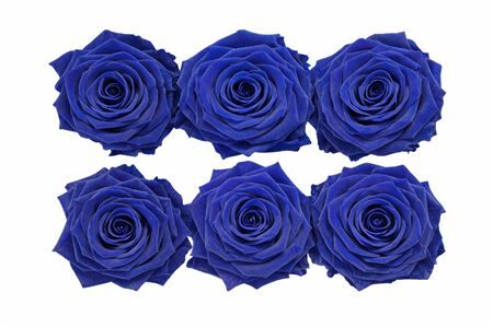 Ro Pres Classic Blue