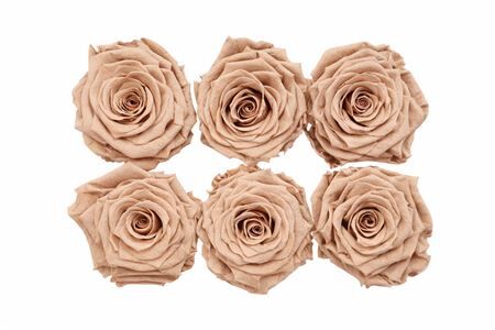 Ro Pres Classic Latte