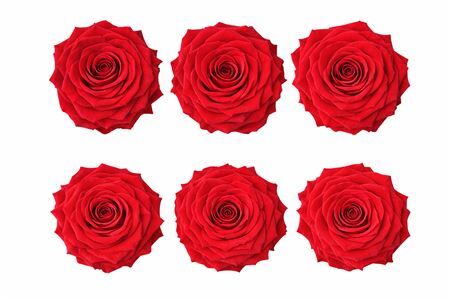 Ro Pres Classic Red Light