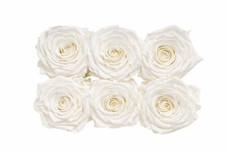 Ro Pres Classic Ivory