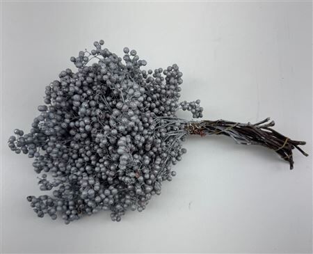 Schinus M Pt Titan Grey Bunch