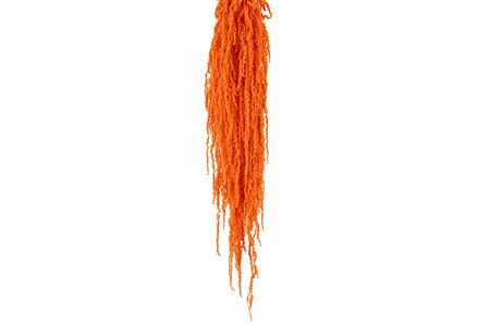 Pres Amaranthus Caud Salmon Bunch