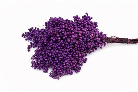 Schinus M Pt Lavender Bunch