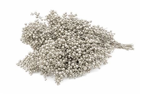 Schinus M Pt Platinum Bunch