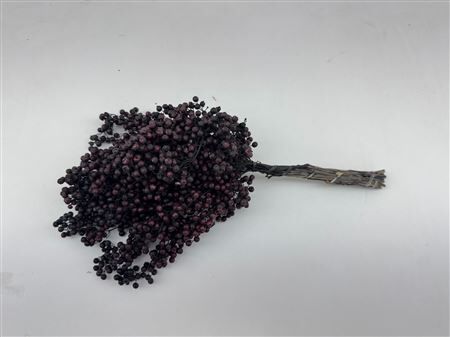 Schinus M Pt Black Bunch