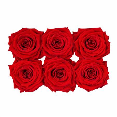 Ro Pres Classic Red Scarlet