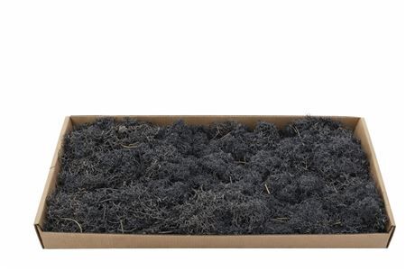 Moss Reindeer Moss 500gr Black