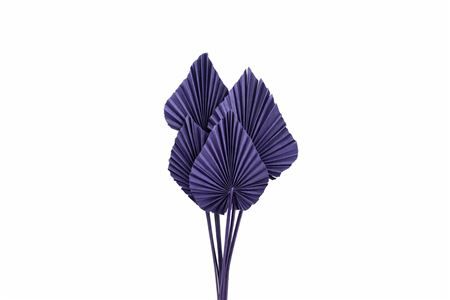 Dried Palm Spear 10pc Milka Bunch Slv