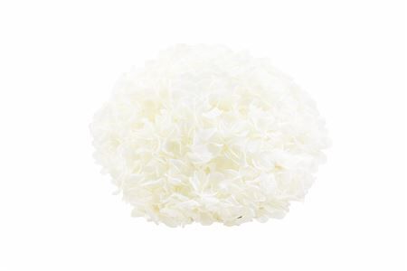 Pres Hydrangea Xl Ivory Pcs