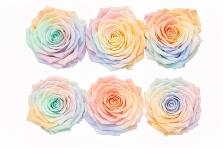 Ro Pres Classic Rainbow Pastel