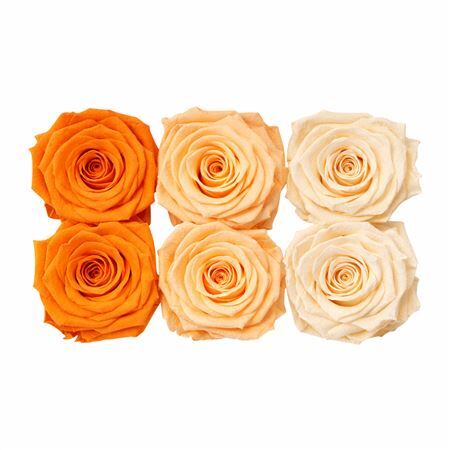 Ro Pres Classic Mix Orange