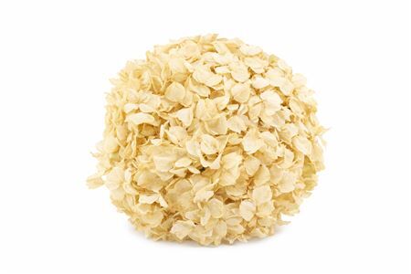 Pres Hydrangea Xl Sand Pcs