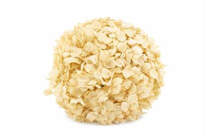 Pres Hydrangea Xl Sand Pcs