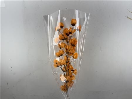 Dried Bougainvillea X5 55cm Orange Bunch