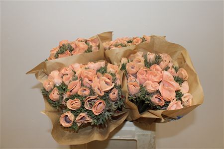 Anem Marianne Powder Orange